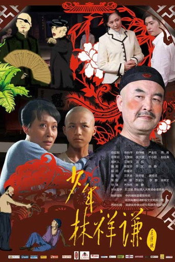 Póster de 少年林祥谦