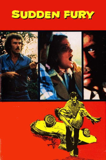 Póster de Sudden Fury