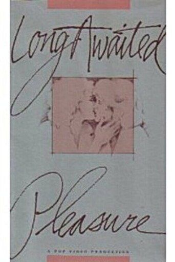 Póster de Long Awaited Pleasure