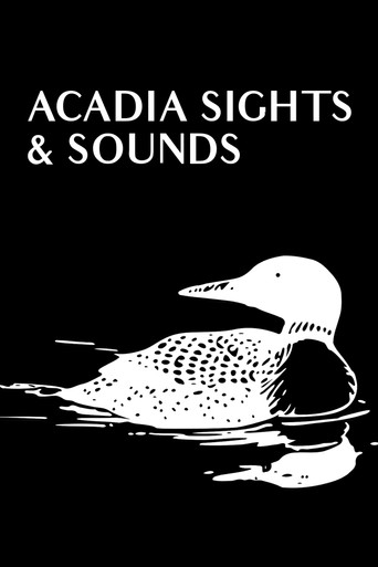 Póster de Acadia Sights & Sounds