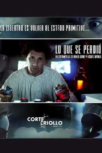 Póster de Lo que se perdió