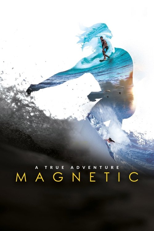 Póster de Magnetic