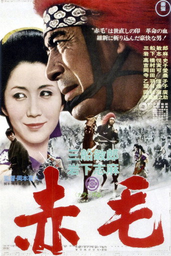 Póster de 赤毛