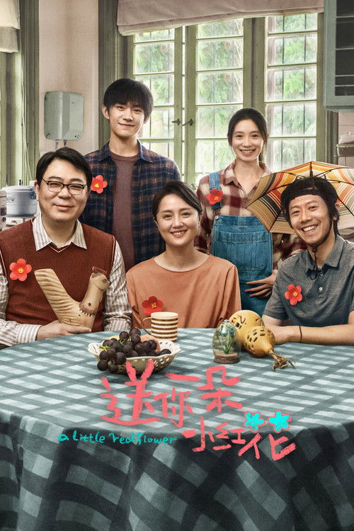 Póster de 送你一朵小红花