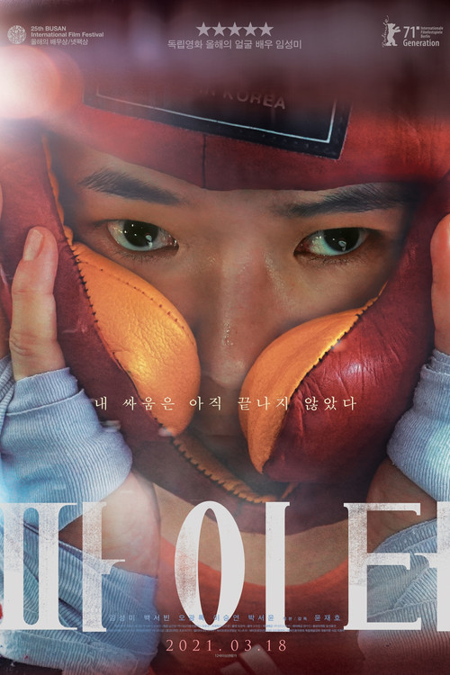 Póster de 파이터