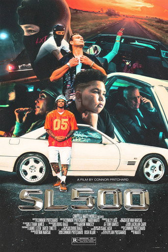 Póster de SL500
