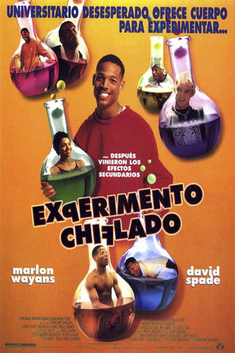 Póster de Sin sentido