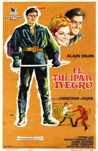 Póster de La Tulipe noire