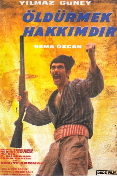 Póster de Öldürmek Hakkımdır