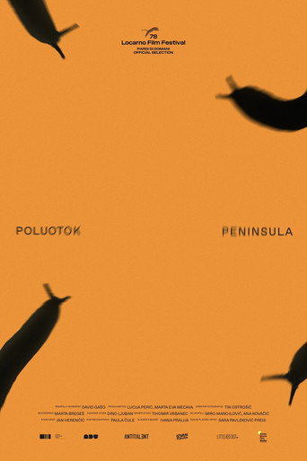 Póster de Poluotok