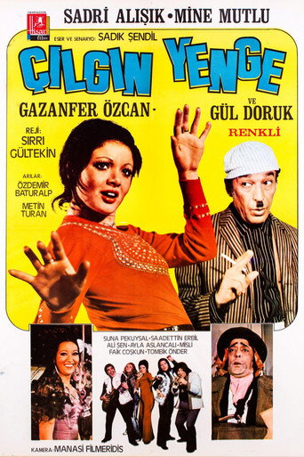 Póster de Çılgın Yenge
