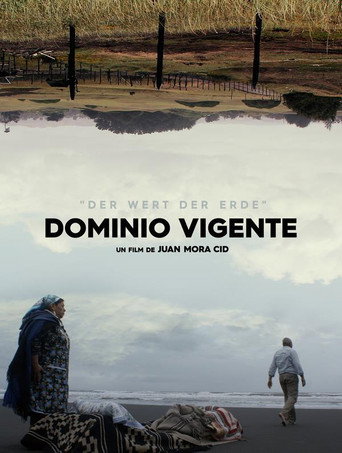 Póster de Dominio Vigente