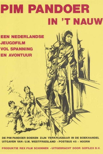 Póster de Pim Pandoer in het Nauw