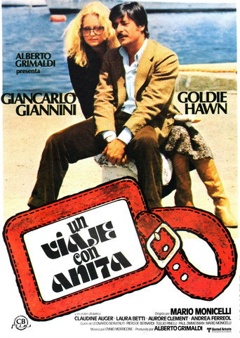 Póster de Viaggio con Anita