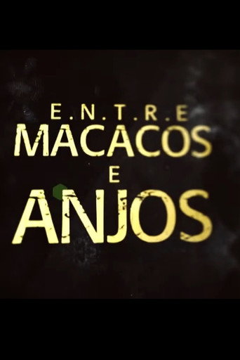 Póster de Entre Macacos e Anjos