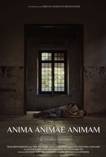 Póster de Anima Animae Animam