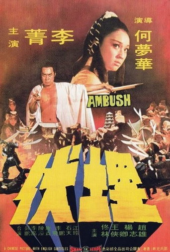 Póster de 埋伏