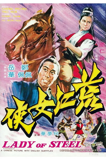 Póster de 荒江女俠