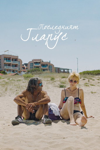 Póster de The Last Seagull