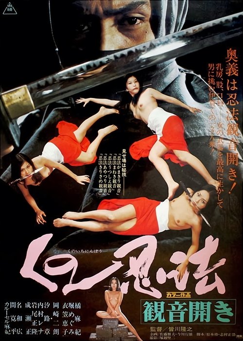 Póster de Kunoichi ninpo: Kannon biraki