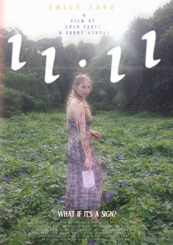 Póster de 11:11