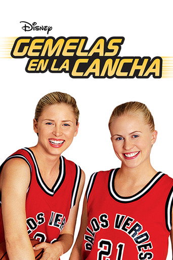 Póster de Por Partida Doble