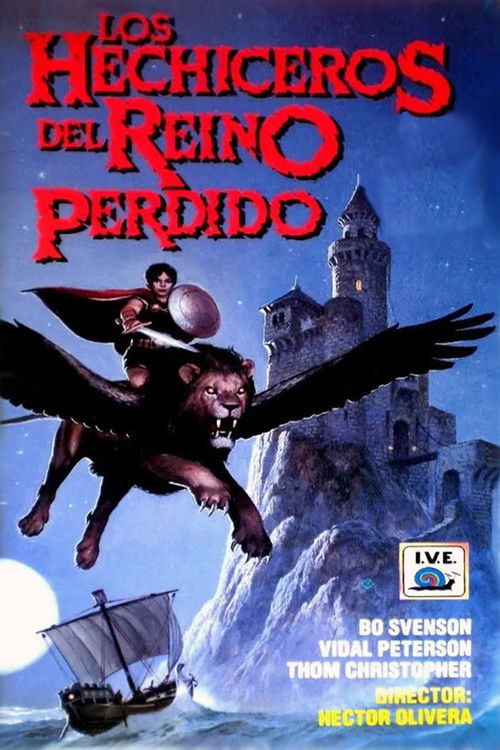 Póster de Wizards of the Lost Kingdom