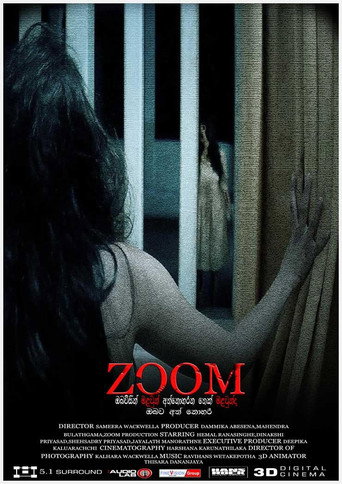 Póster de ZOOM