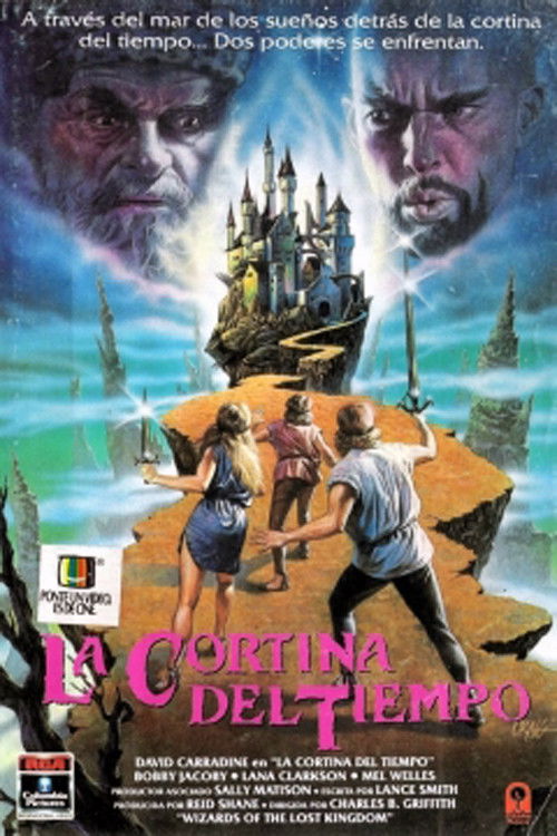 Póster de Wizards of the Lost Kingdom II