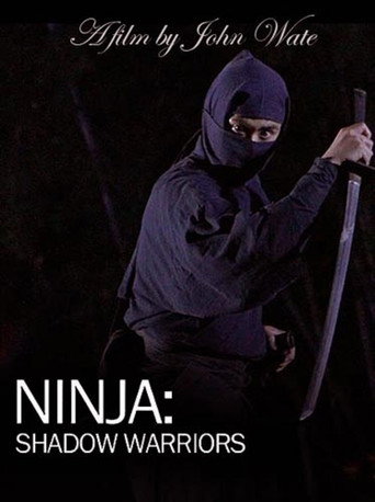Póster de Ninja Shadow Warriors