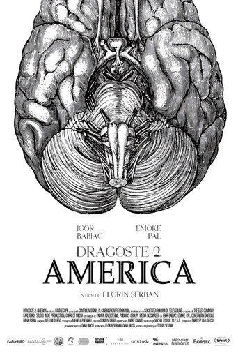 Póster de Dragoste 2. America