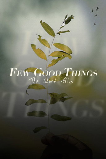 Póster de Few Good Things