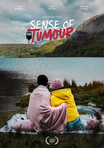 Póster de Sense of Tumour