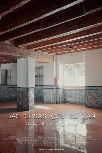 Póster de Las Cosas Que Se Van