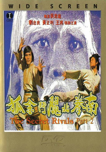 Póster de 南拳北腿斗金狐