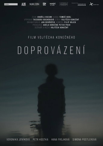 Póster de Doprovázení