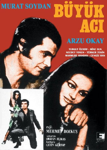 Póster de Büyük Acı