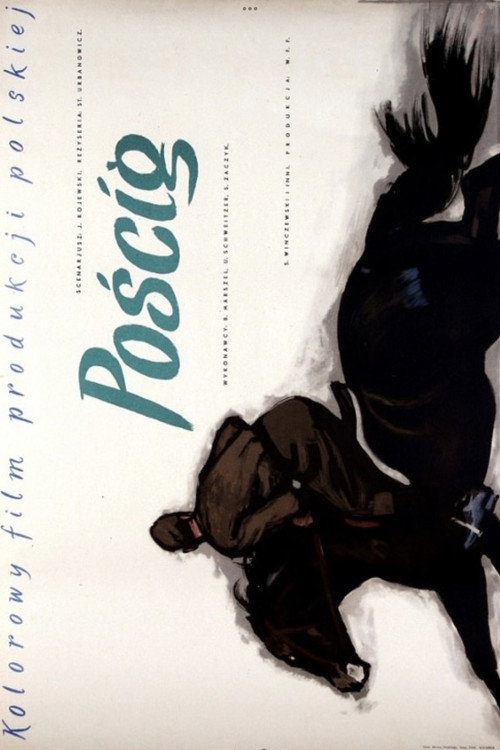 Póster de Pościg
