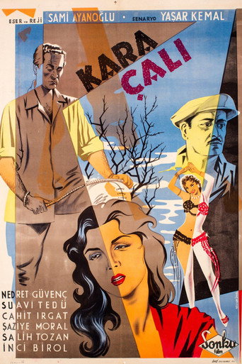 Póster de Kara Çalı