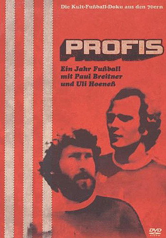 Póster de Profis