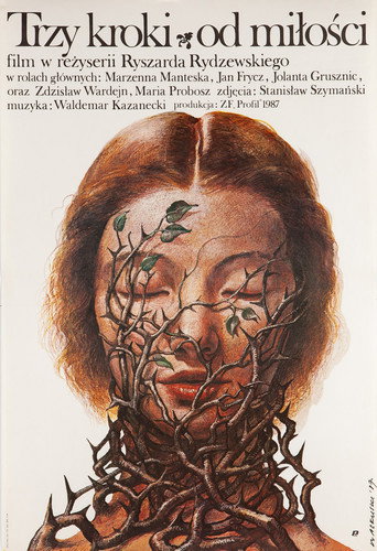 Póster de Trzy kroki od miłości