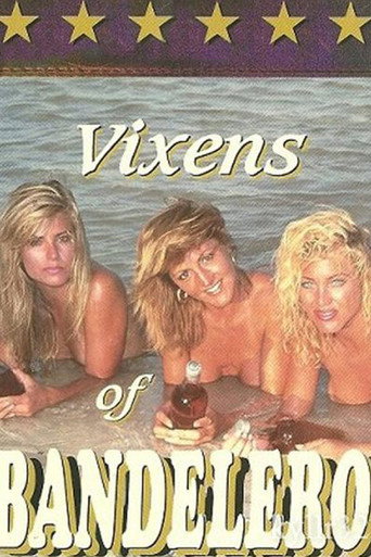 Póster de Vixens of Bandelero