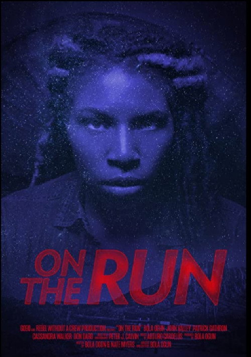 Póster de On The Run