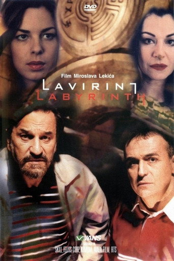 Póster de Lavirint