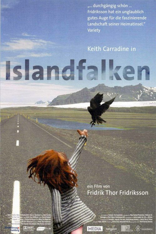 Póster de Fálkar
