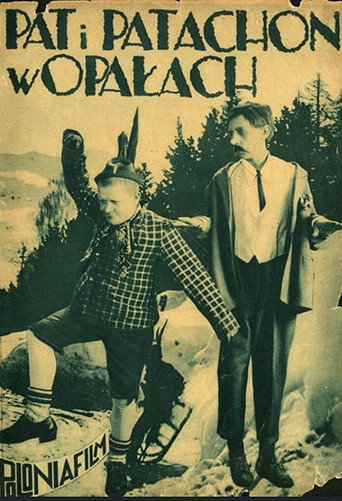 Póster de Schwiegersöhne