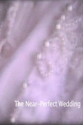 Póster de Near-Perfect Wedding