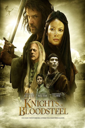 Póster de Knights of Bloodsteel