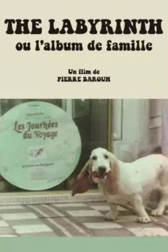 Póster de The Labyrinth ou L'album de famille