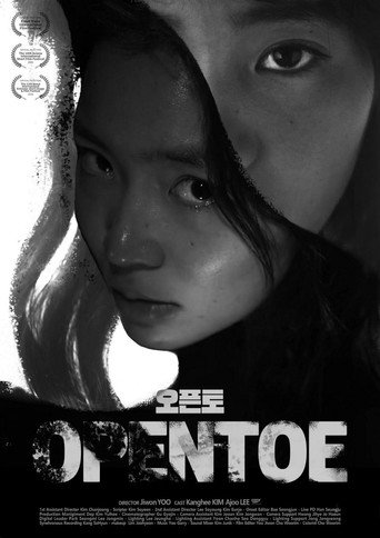 Póster de 오픈토
